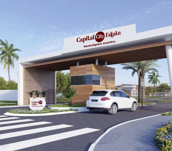 CAPITAL CITY: An Estate for the Intentional Investor